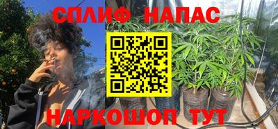 крисы Малоярославец
