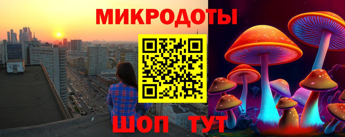 Галлюциногенные грибы MAGIC MUSHROOMS Гатчина