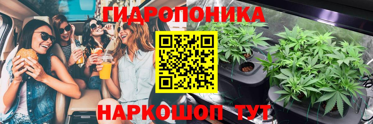 Каннабис Bruce Banner  Марихуана планчик  Канабис план  Гатчина  МАРИХУАНА VHQ  Вход с VPN 